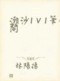 潮沙1∨1笔趣阁