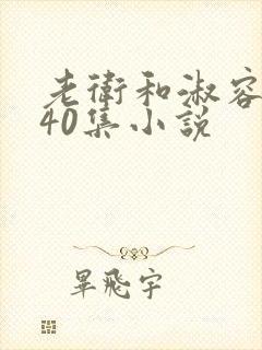 老卫和淑容1-40集小说封面