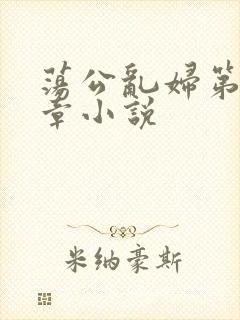 荡公乱妇第51章小说
