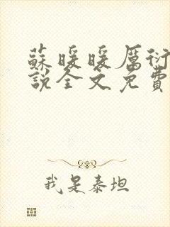 苏暖暖厉衍琛小说全文免费阅读