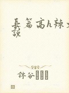 长篇高h辣文小说