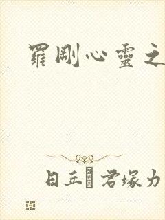 罗刚心灵之约封面