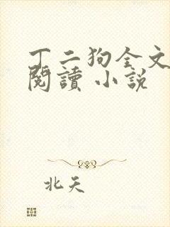 丁二狗全文免费阅读 小说