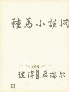 种马小说网
