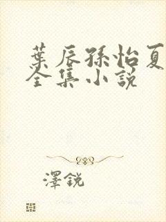 叶辰孙怡夏若雪全集小说