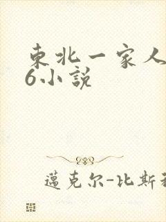 东北一家人1一6小说