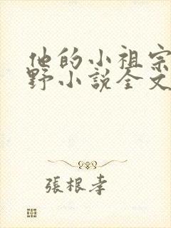 他的小祖宗甜又野小说全文免费阅读