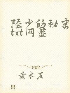 陆少的秘密恋人txt网盘