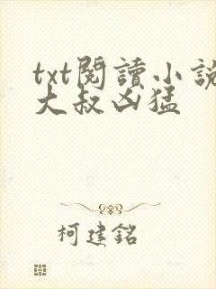 txt阅读小说大叔凶猛
