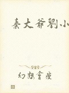 秦大爷刘小静