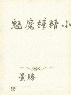 魅魔榨精小说