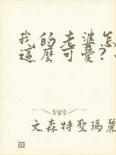 我的老婆怎么能这么可爱? 小说阅读