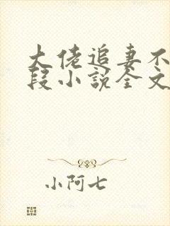 大佬追妻不择手段小说全文免费
