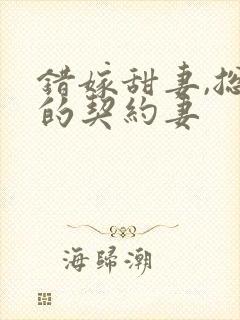 错嫁甜妻,总裁的契约妻封面