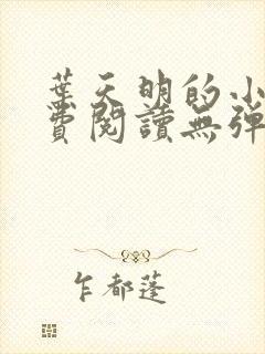 叶天明的小说免费阅读无弹窗