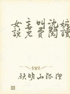 女主叫沈婉的小说免费阅读