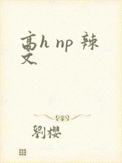 高h np 辣文封面