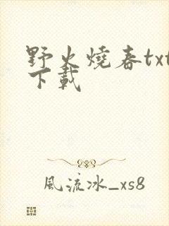 野火烧春txt下载封面