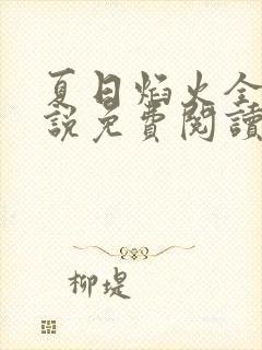 夏日焰火全文小说免费阅读无弹窗