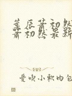 叶辰萧初然叶辰萧初然最新