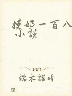 摸奶一百八十式 小说