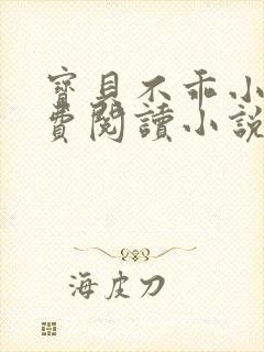宝贝不乖小说免费阅读小说