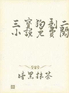 三宝狗剩二姐的小说免费阅读