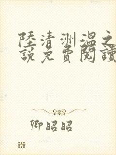 陆清洲温之夏小说免费阅读最新章节封面