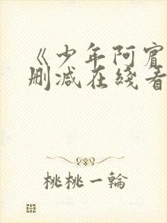 《少年阿宾》无删减在线看