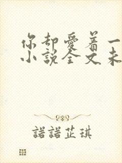 你却爱着一个他小说全文未删减免费