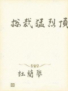 总裁猛烈顶弄h