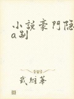 小说豪门隐婚aa制