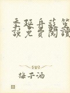季延舟苏笙笙小说免费阅读最新章节封面