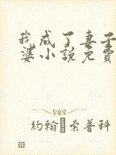 我成了妻子的老婆小说免费阅读全文