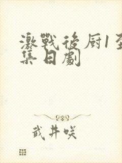 激战后厨1至5集日剧