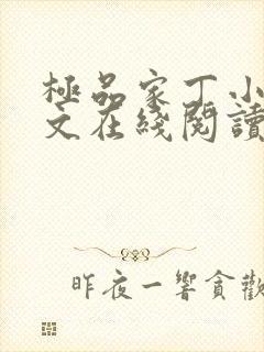 极品家丁小说全文在线阅读