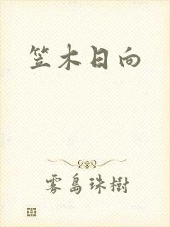 笠木日向封面