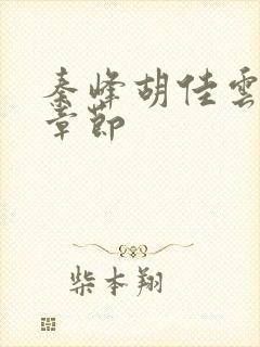 秦峰胡佳云更新章节封面