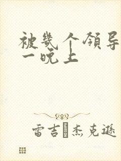 被几个领导玩弄一晚上