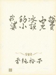 我的冰山总裁老婆小说免费