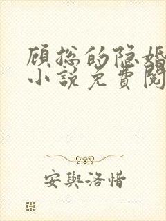 顾总的隐婚罪妻小说免费阅读