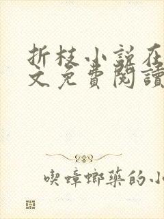 折枝小说在线全文免费阅读无弹窗