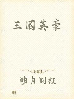 三国英豪封面