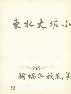 东北大坑小说