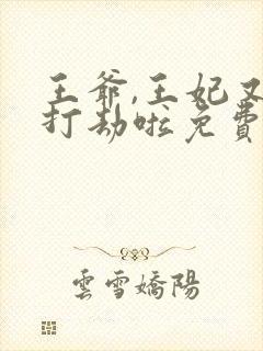 王爷,王妃又去打劫啦免费阅读