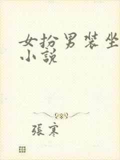 女扮男装坐江山小说