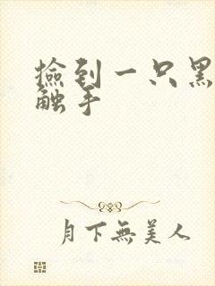 捡到一只黑心小触手