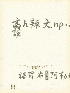 高h辣文np小说