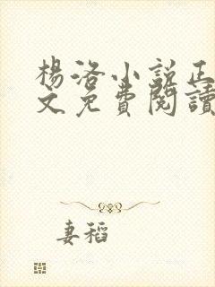 杨洛小说正版全文免费阅读