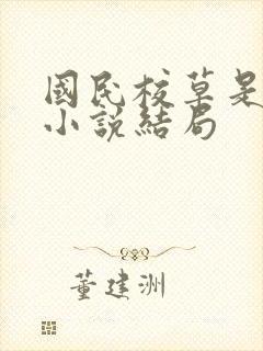 国民校草是女生小说结局